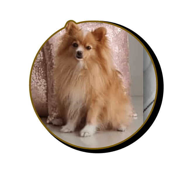 Boutique blow tienda online